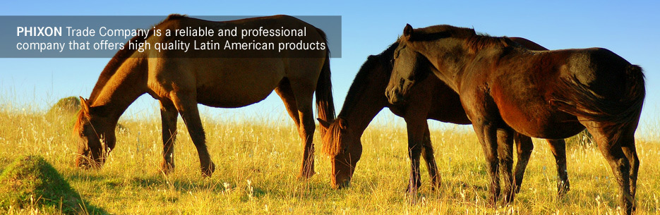  trade Latin America, mutton Argentina, horse meat Uruguay, mutton Uruguay, mutton Latin America, lamb South America, buy soybean Argentina, buy rice Argentina, trade company Uruguay.