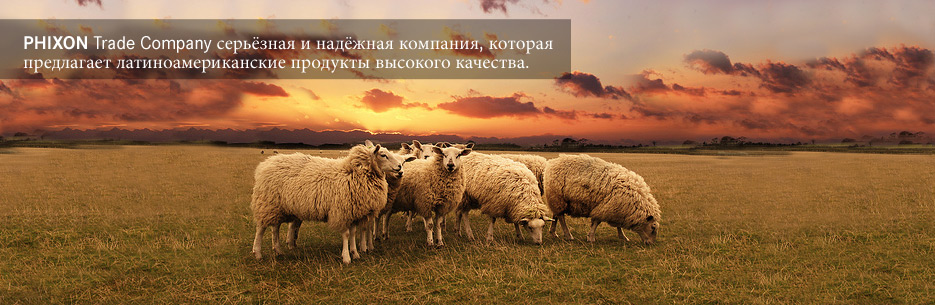 PHIXON Trade Company is a reliable and professional company that offers high quality Latin American products beef Paraguay, beef Brasi, trade Paraguay, trade Brasil, Carne Uruguay, Carne Argentina, Carne Brasil, carne Paraguay, beef Argentina, trade South America, trade Uruguay.