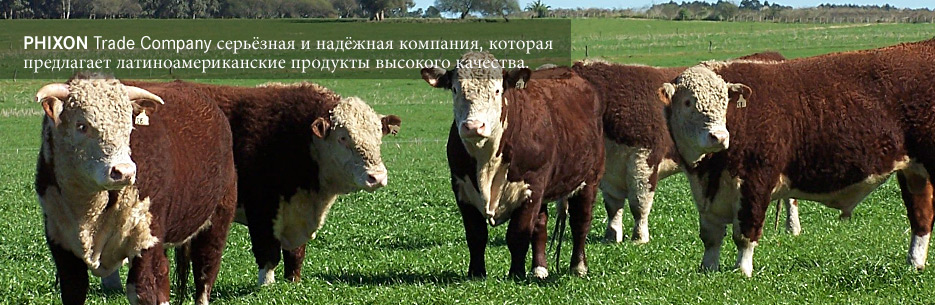 PHIXON Trade Company is a reliable and professional company that offers high quality Latin American products trading Argentina, beef Latin America, trading South America, trade company South America, yellow corn Uruguay, beef Uruguay